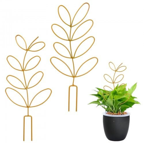 Ehuihuan Lot de 2 tuteurs pour plantes d'intérieur - Treillis doré en métal pour plantes grimpantes