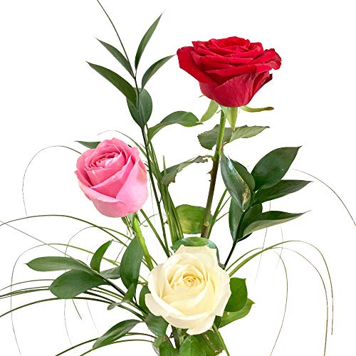 Rosenstrauß mit 3 langstieligen Rosen, Ruskus und Gräsern - Inklusive gratis Vase und Grußkarte