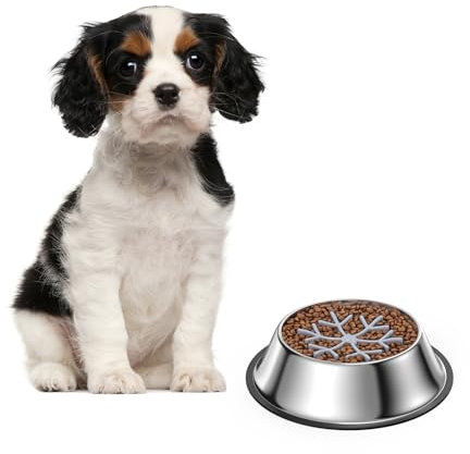 LOFICOPER Slow Feeder Dog Bowl Large Metal, Stainless Steel Anti-Slip Dog Bowls to Stop Fast Eating with Removable Silicone Insert, Easy Clean for Large Medium Dogs