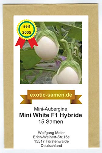 Mine-Aubergine - Mini White F1 Hybrid - 15 Samen