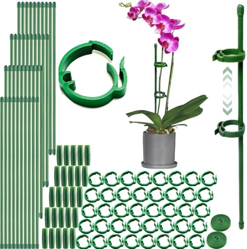 Pflanzenstütze, 40 pflanzenstab, pflanzstäbe mit 40 Verstellbare Schnalle, 25 Verbinder und 2 Pflanzenbinder, tomatenstäbe, Pflanzenstütze für Unterstützung Gemüse und Blumen (107 PCS)