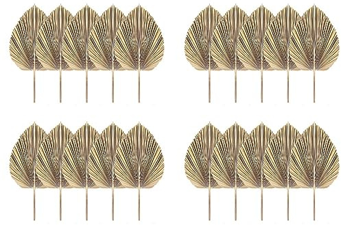 Uikdjgu 20 Hojas de Palma Secas Naturales, Abanicos de Palma Tropical, Decoración de Hojas Secas Bohemias para el Hogar, Cocina, Boda