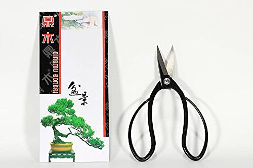 Forbice bonsai per radici semi-professionale mm. 195