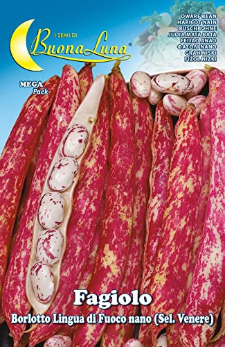 5PZ SEMI ORTO FAGIOLI NANI BORLOTTI