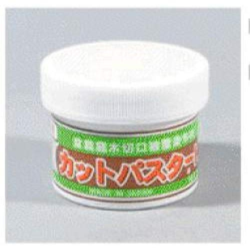 KANESHIN 154-k Mastic Japonais pour Bonsaï avec Hormones, Fertilisant pour Soins des Bonsaï, 160 G