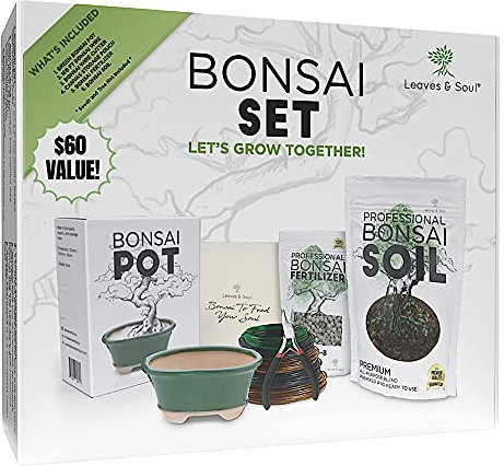 Löv och själ komplett bonsaiset – liten grön oval bonsaikruka | 49 m Bonsai hobbytråd | trådskärare | bonsai jord | bonsai gödselmedel | förvaringsväska