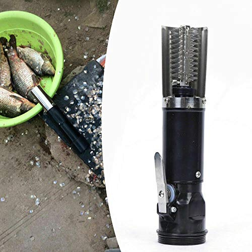 kangten Rascador de escamas de pescado, 120 W, eléctrico, de acero inoxidable, 2200 mAh, para peces de agua dulce, peces marinos
