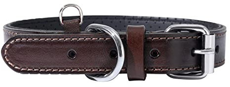 MYSUNBAR Hundehalsband aus Leder Braun mit Perforiert Gepolstert D-Ring, Echtes Büffelleder Halsband für Mittelgroße Hunde, Klassische Lederhalsband Dog Collar