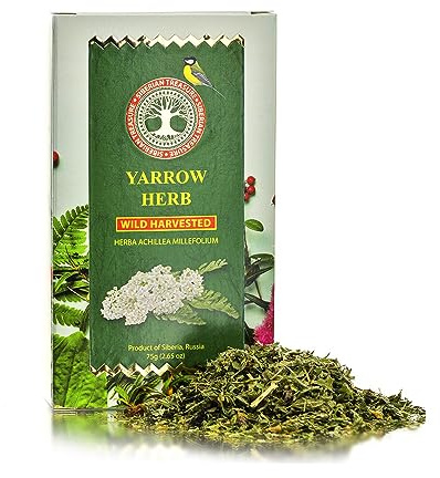 Yarrow Herb, Wild Harvested, Premium Quality, 2.65 OZ (75 Grams) – Herbal Tea