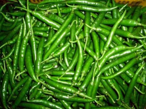 Semillas de Chile Verde (Paquete de 25)