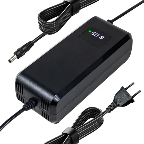 58.8V 4Amp Universal-Schnellladegerät für E-Bikes, Hoverboards und Elektroroller 52v14 Serie Li-Ion Akkupack, Stecker DC 1 Loch 5.5 2.1 mm