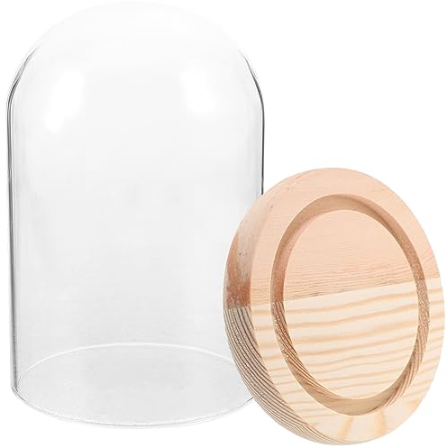 HOMSFOU Display Cabinets Globe Flower Craft Desktop Decors Clear Bell Jar Display Matches Cloche Display Cases for Collectibles Plant Dome Preserved Flowers Miniature Glass Glass Dome