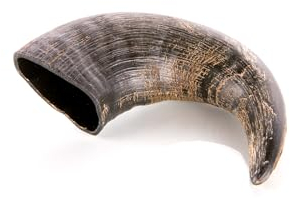 Animal House Corna di Bufalo per Cani, Masticativo Naturale al 100%, Rafforza Igiene Orale, Resistenti e Duraturi, Disponibili in Tutte Le Taglie, Cruelty Free (1, M)