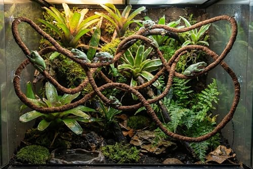 Natureholic Flexible Liane 200 cm mit Kokosfasern - Ideale Klettermöglichkeit für Reptilien