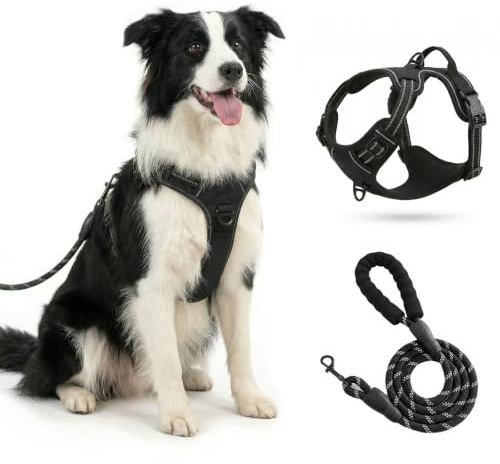 Hundegeschirr mit Griff， mittelgroße & Grosse Hunde - Hunde Geschirr，Atmungsaktiv Reflexstreifen Brustgeschirr Sichere Führung Schwarz，hundegeschirr Gross Hund,M