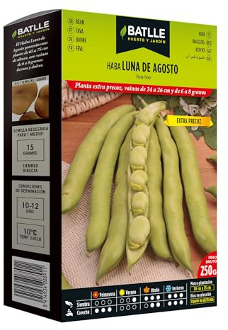 Semillas Batlle Graines de Haricots Lune d'août 250 gramos, Vert