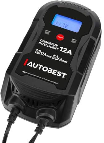 Chargeur et Maintien de Charge Automatique Intelligent 12V-12A/24V-6A