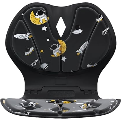 Raypontia Silla de corrección lumbar, cojín postural para soporte de cintura - Soporte lumbar ergonómico | Corrector de postura plegable para adultos