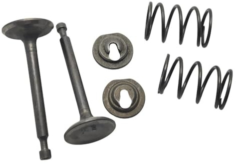 Rasenmäherzubehör Spannhülsen-Set Feder Ein- und Auslassventil passend für HON GX160 GX200 168F 170F 5,5-6,5PS Verbrennungsmotor Generator Rasenmäher