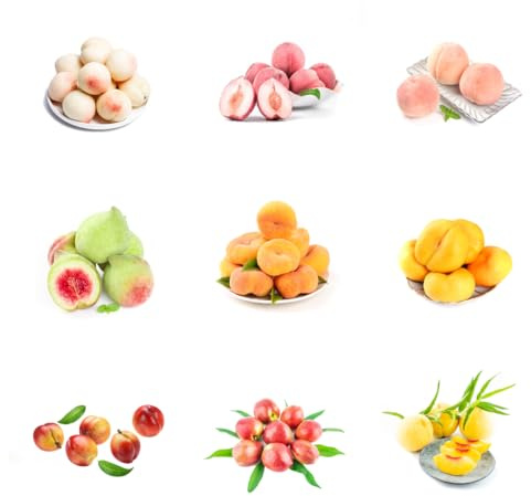 Semillas resistentes de melocotonero,semillas de melocotón,fruta columnar resistente Semillas de,resistentes para jardín.20pcs