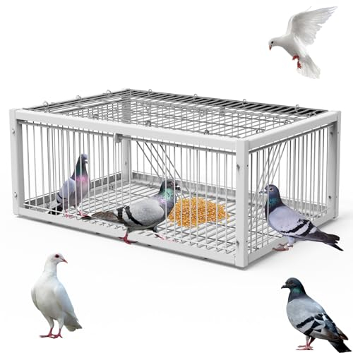 PAUQRWIE Taubenfalle Käfig Vogelfallen für kleine Vögel Faltbarer Einwege-Eingang Falle Tragbare U-Falle Tür für Taube Wildzucht Versorgung Taubenstall