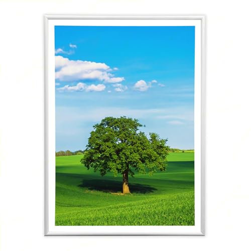 Sicignano | Cornice Bombata Moderna 35x50 cm in Legno Bianco con Pannello MDF Robusto Vetro Crilex - Portafoto da Parete Orizzontale Verticale, per Foto Quadri Poster Documenti Diploma Laurea