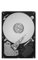 Seagate ST2000DL003 Barracuda Green Desktop HardDisk (Ricondizionato)