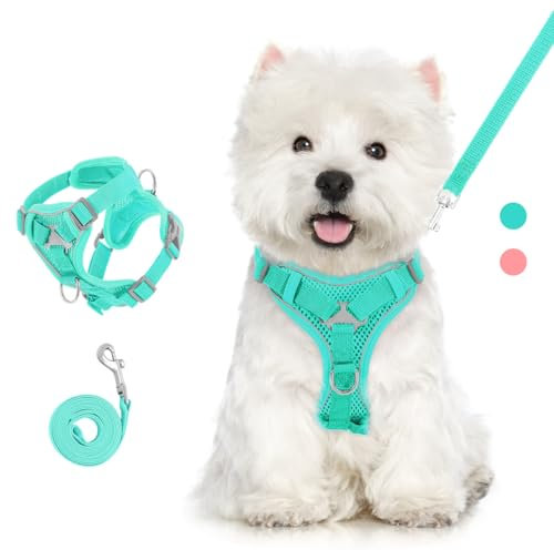 VavoPaw Katzengeschirr und Leine Set für Spaziergänge, Flucht Beweis Kätzchen Weste Geschirr mit Reflektierend Streif, Einstellbar Haustier Sicherheitsweste für Katzen, Welpen, XL, Blau