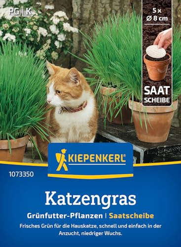 Kiepenkerl Katzengrassamen Frischgrün Mischung 1073350, Saatgut | Ballaststoffreiche Frischfutterquelle mit Vitaminen, niedrig wachsend, schnell gedeihend, für Wohnungskatzen und Freigänger