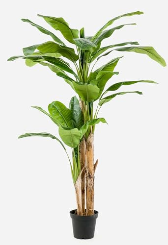 artplants.de Kunst Bananenbaum Bagheera, groß, 210cm - Kunst Bananenbaum - Bananenpflanze Künstlich