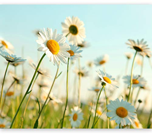 murando Fototapete selbstklebend Margerite 392x309cm Foto Tapete Tapetenfolie Möbelfolie Wandverkleidung Wandtapete Motivtapeten Bildtapete Wohnzimmer 3d Effekt Gänseblümchen Blumen Wiese Natur Feld
