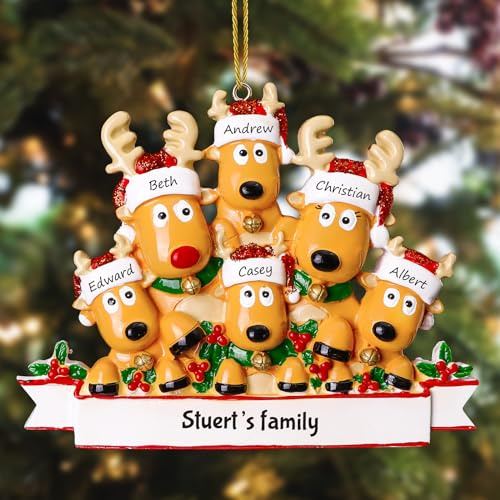 witfox Personalisierte Weihnachtsanhänger mit 2/3/4/5/6/7/8 Familiennamen - 2025 Kunstharz-Weihnachtsbaumschmuck Personalisierte Weihnachtskugeln Familie, Partner und Freunde6