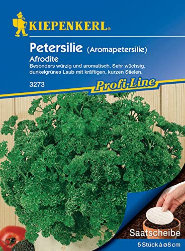 Schnittlauch Staro grobröhrig Saatscheiben