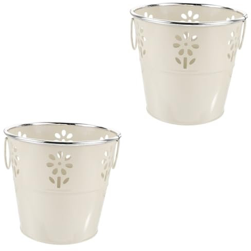 BESPORTBLE 2stücke Retro Eisenblumentopf Mit Hohldesign Vielseitiger Sukkulententopf Rustikale Blumenvase Für Gartenliebhaber Fotorequisite