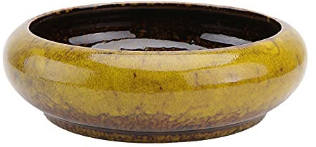 BESPORTBLE Pot de Fleurs en Céramique Décoratif Hydroponique pour Jardin