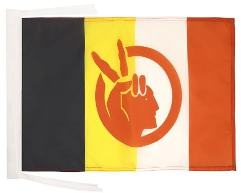 AZ FLAG Bandiera Movimento dei nativi americani 45x30 cm Cordini | Uso interno ed esterno bandiera decorativa del American Indian Movement doppie cuciture e bordi rinforzati poliestere 100D