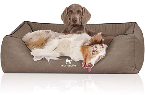 Knuffelwuff Orthopädisches Hundebett Columbia aus Laser-gestepptem Kunstleder XXL 120 x 85cm Stone - Abnehmbarer Bezug - leicht zu reinigen - für große, mittelgroße und kleine Hunde