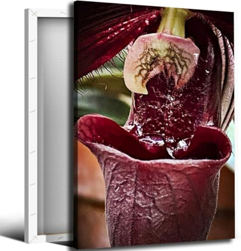 Tropical Pitcher Plant Bathroom Canvas Wall Art Decor Framed Photo Prints Picture for Bedroom Living Room Office Kitchen Posters Painting Artwork