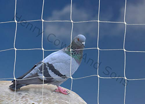 Bird Netting For the Garden 5m x 10m 50mm 2 Anti Pigeon Knotted Mesh Heavy Duty White Net Protection