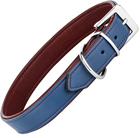 Schnüffelfreunde Lederhalsband Fun Line - Hundehalsband für den großen, mittleren und kleinen Hund - Halsband für Hunde aus Leder - gepolstert & robust (M - 28-36cm, Blau-Rot)