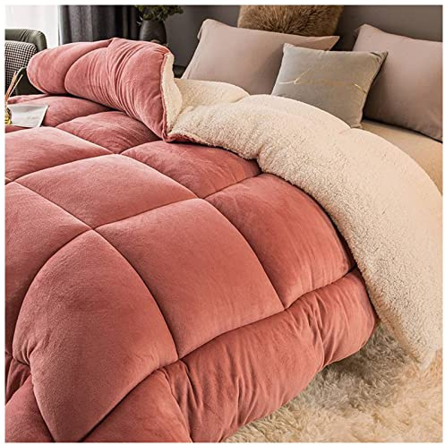 ZTGL Edredón Nórdico Invierno, Colcha Cordero Cachemira Manta Cama Suave Cálida, Microfibra Reversible 150/180/200/220, Bean Paste, 180x220cm/3kg