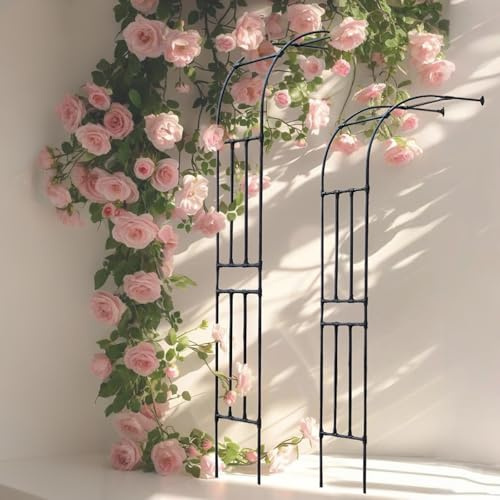 Arche De Jardin Arcade en Métal Demi-côté Arceau À Rosiers, Robuste Demi-arche W 60 90 120 150 180 200 220 240 250 270 300 CM, Treillis Support pour plantes grimpantes Vignes(Noir,W150cmx H240cm)