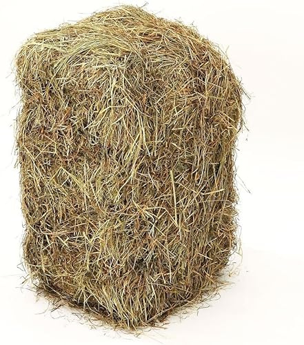 Alpaca de Hierba Seca 10kg Aprox. Seca y Natural de los prados Gallegos. Ideal para Animales domesticos. Conejos, cobayas, ovejas,Caballos...Fardos de Hierba. Lecho para Animales.