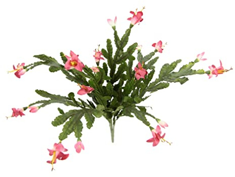 Künstlicher Kaktus mit Blüten Blühender Weihnachtskaktus Kaktusse Kakteen Zimmerpflanze mit roter Blüte Seidenblumen Grünpflanze Stachelige Flache Kunstpflanzen Pflanze Blume Kunstkaktus