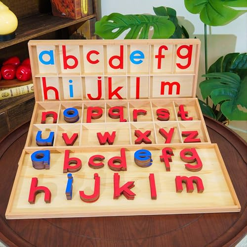Premium Large Wooden Movable Alphabet Set 22.4in 5.2 lbs| 155 Lowercase Letters in Dual Beechwood Boxes | Montessori Red & Blue Letters for Word Building & Writing | Wood Large Movable Alphabet