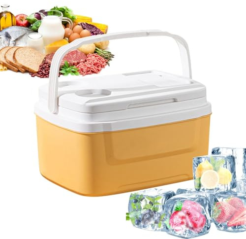 Generisch Auto Kühler Für Fahrzeuge - 8L Tragbare Isolierte Kühlbox mit -Fach - Wasserdichter Tragbarer Mini-Kühlschrank Mit Griff & Großem Fassungsvermögen Für Picknick, Angeln Und