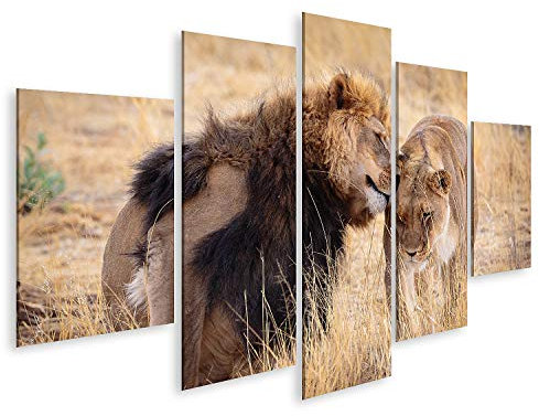 islandburner Prime Bild auf Leinwand Lovely Lion Paar kuscheln Bilder Wandbilder Poster