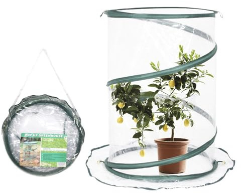 Serra Pop-up - Mini Rifugio Per Interni Ed Esterni, Tenda Per Piante Portatile, Copertura Da Giardino Trasparente | Piccola Serra Per Piantine Erbe Aromatiche Fiori Patio Balcone Uso Quotidiano Protez