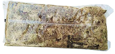 Sphaigne Compressée 6L pour Orchidées | naturelle, stérilisée, sans bactéries, favorise la croissance