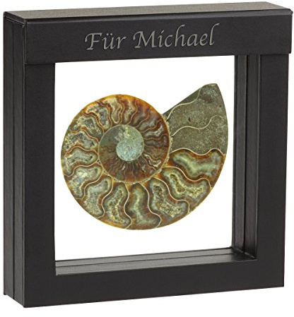 Historia Original Ammonit - 350 Millionen Jahre alt im edlen Schweberahmen als faszinierendes Gravur